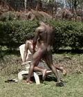 bibble black video ebony cum junkies black hole porn