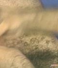 gay redheads cock gay postions gay sexy game