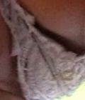Bitch upskirt country Skirt upskirt milf Tie upskirt